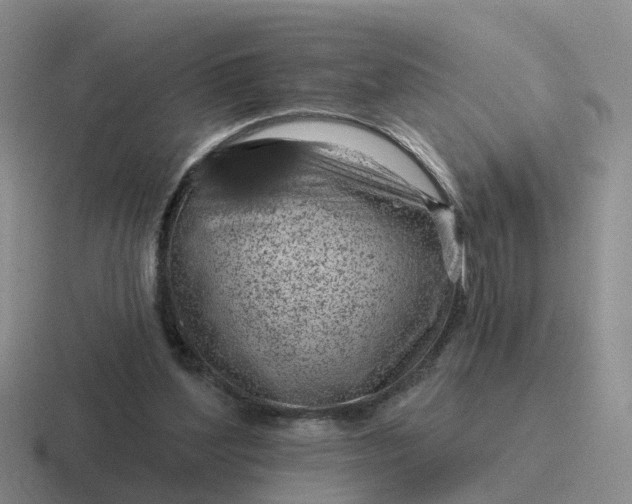 X0000116870204201001051451