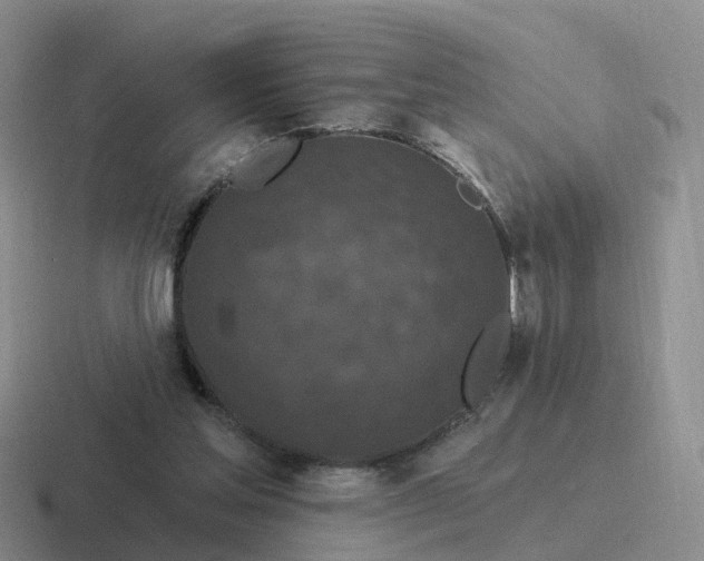 X0000116870205201001051451