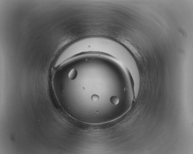 X0000116870207201001051451