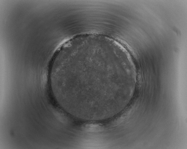 X0000116870208201001051451