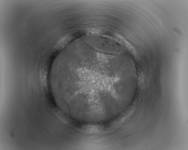 X0000116870209201001051451