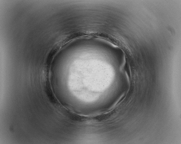 X0000116870210201001051451