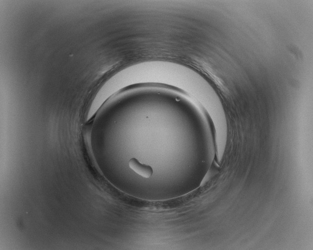 X0000116870211201001051451