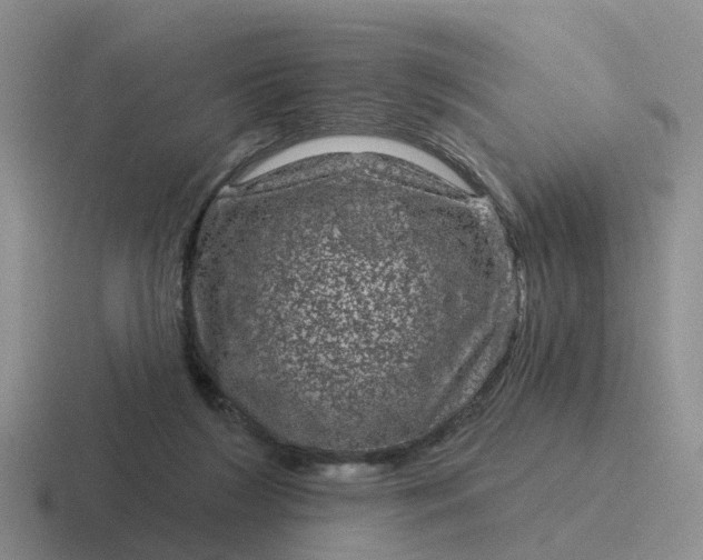 X0000116870212201001051451