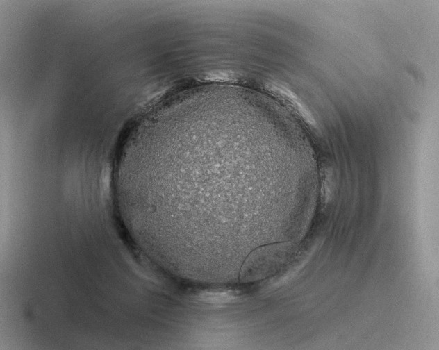 X0000116870213201001051451