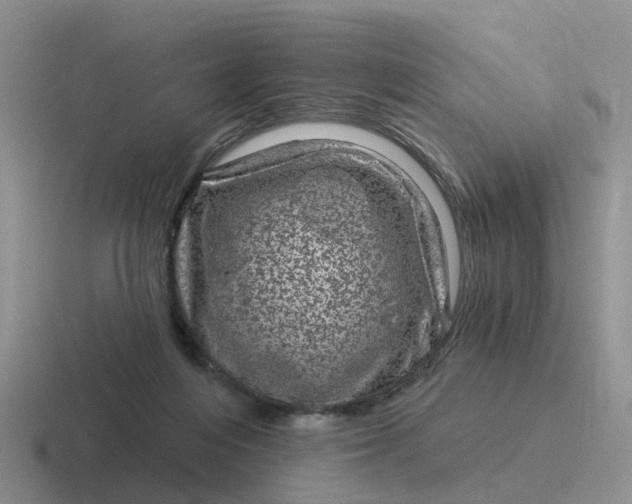 X0000116870216201001051451