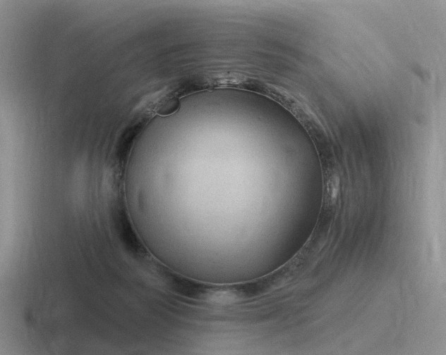 X0000116870218201001051451