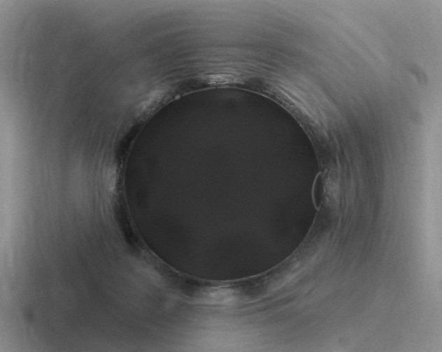 X0000116870219201001051451