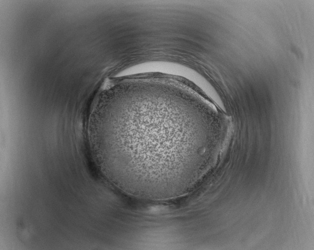 X0000116870220201001051451