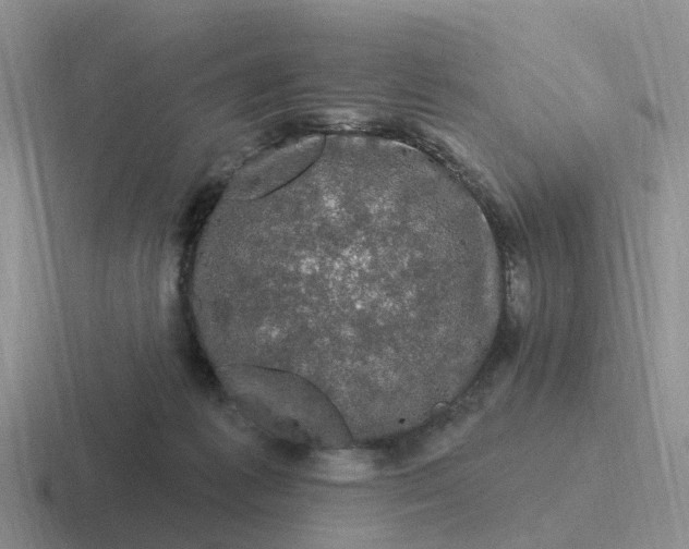 X0000116870221201001051451