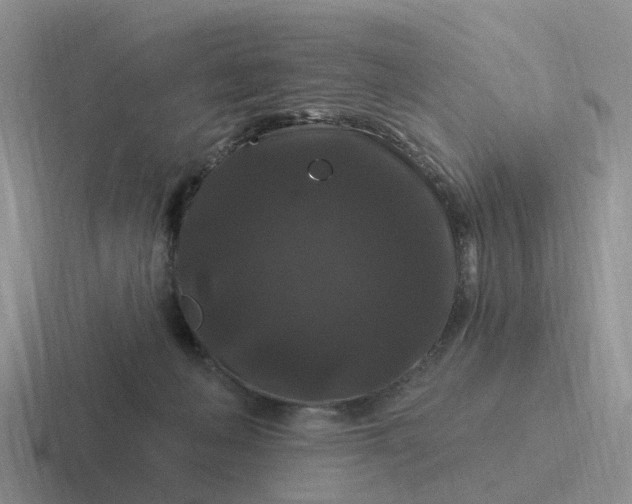 X0000116870222201001051451