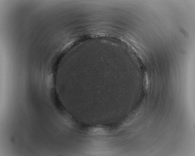 X0000116870224201001051451