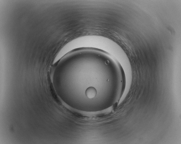 X0000116870225201001051451