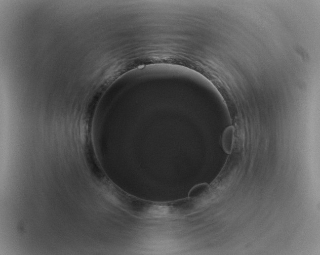 X0000116870227201001051451