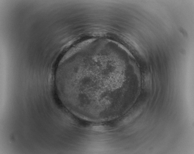 X0000116870228201001051450