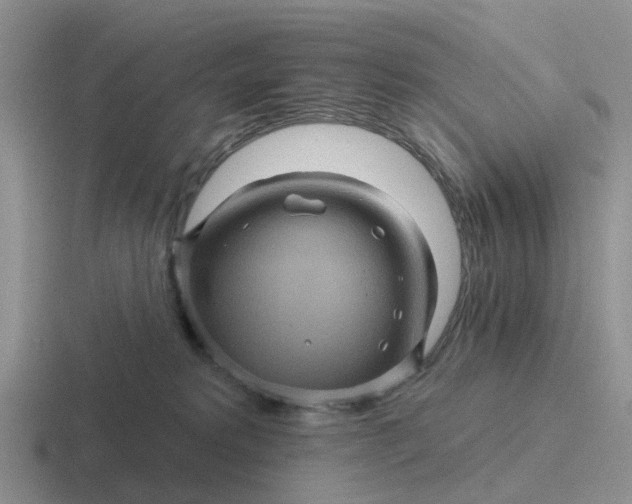 X0000116870229201001051450