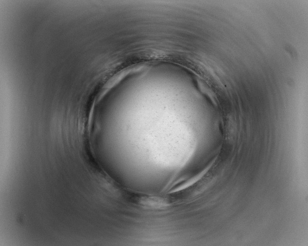 X0000116870230201001051450