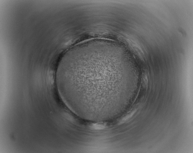 X0000116870232201001051450