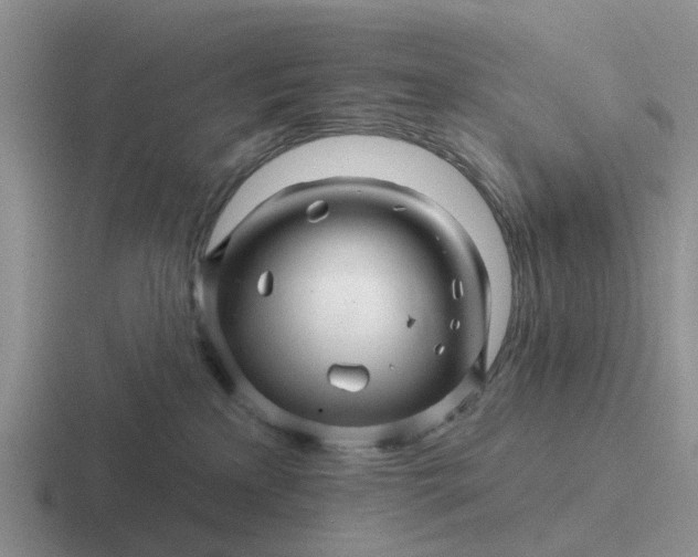 X0000116870233201001051450