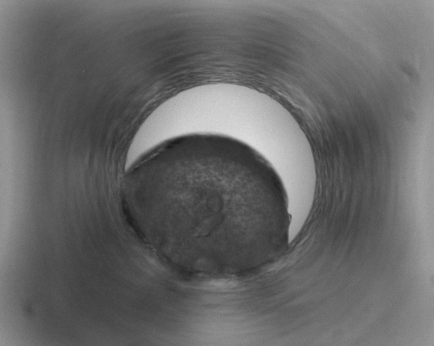 X0000116870236201001051450