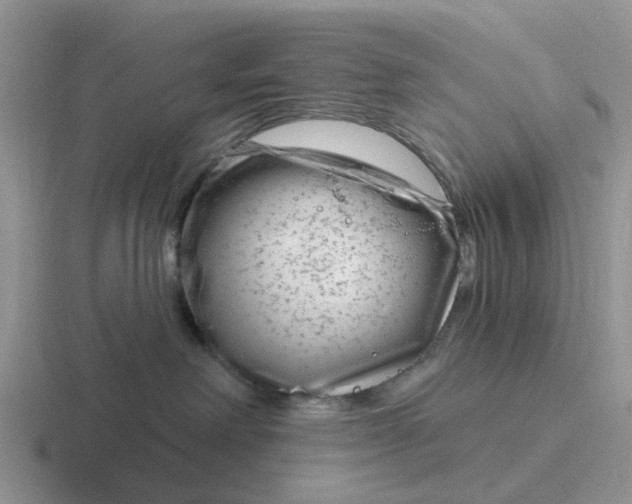 X0000116870238201001051450