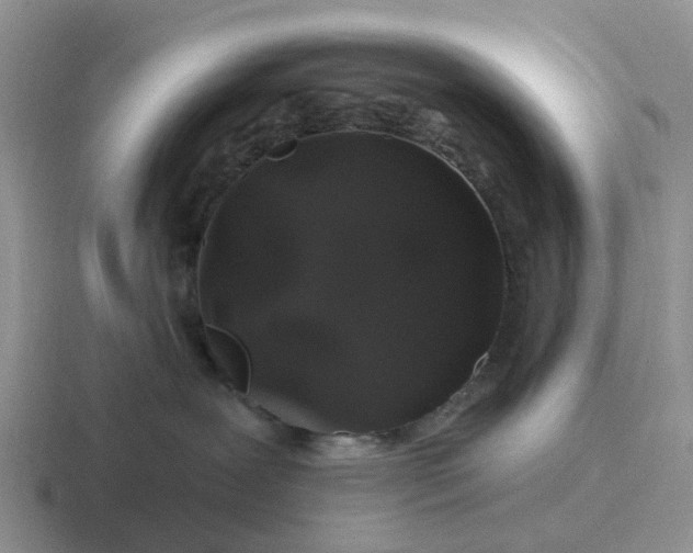 X0000116870239201001051450