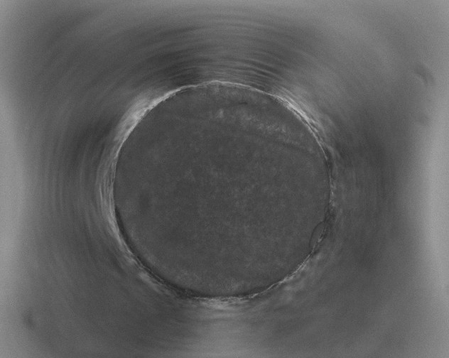 X0000116870241201001051450