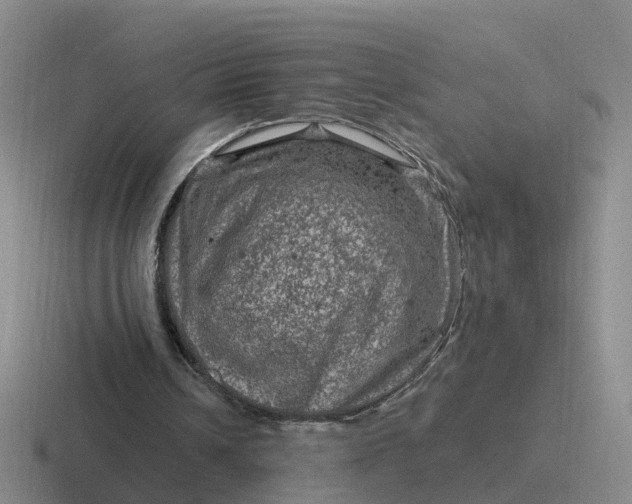 X0000116870242201001051450