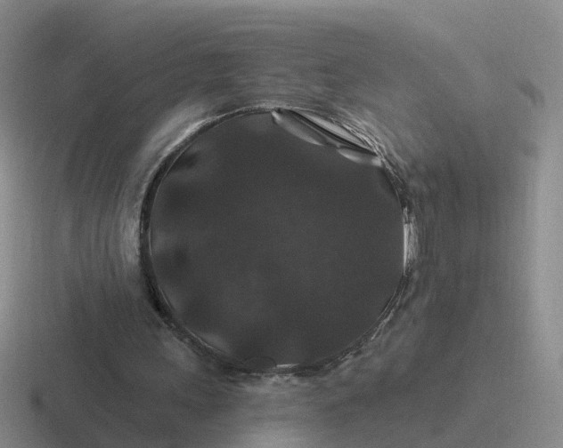 X0000116870243201001051450