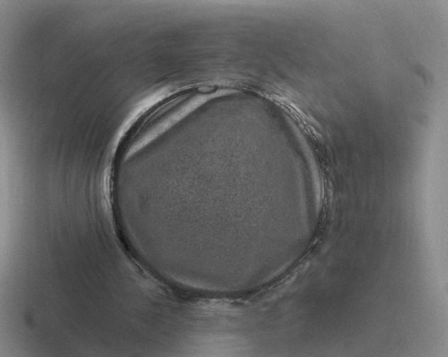 X0000116870244201001051450