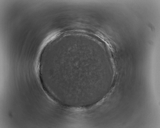 X0000116870245201001051450