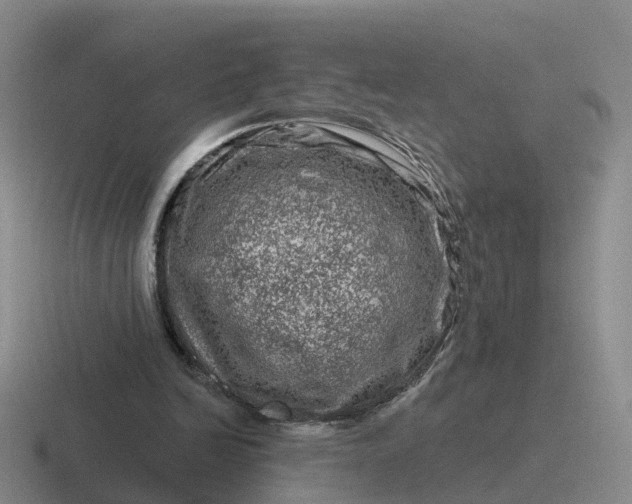 X0000116870246201001051450