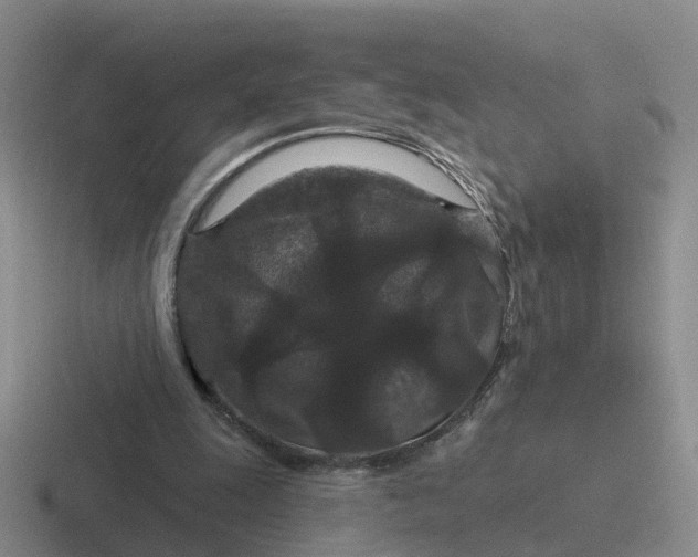 X0000116870247201001051450