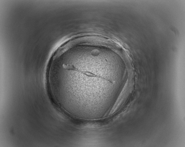 X0000116870248201001051450