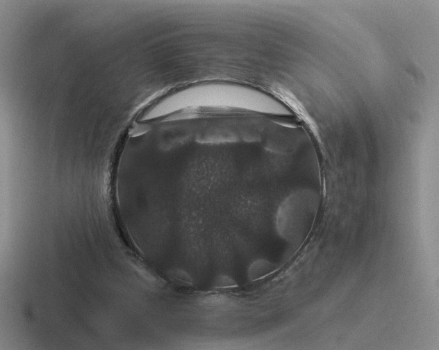 X0000116870249201001051450