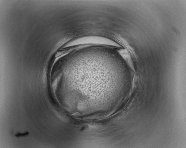 X0000116870250201001051450