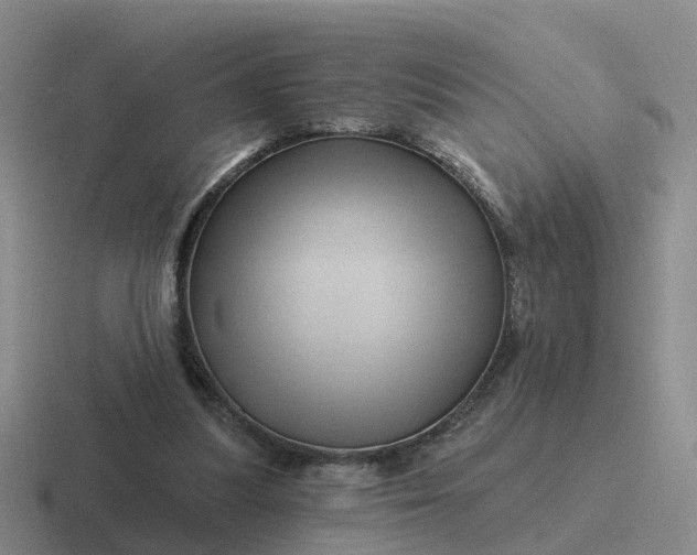 X0000116870251201001051450