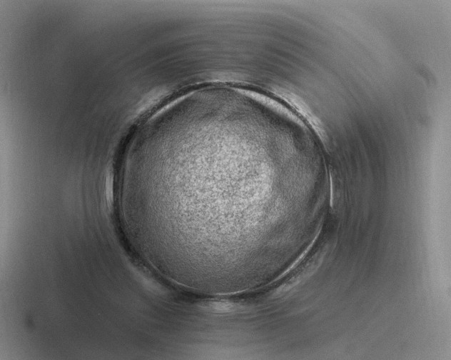 X0000116870253201001051450