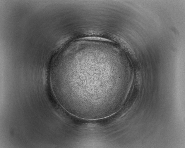 X0000116870255201001051450