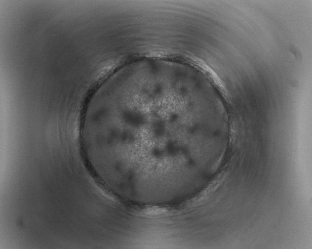 X0000116870257201001051450