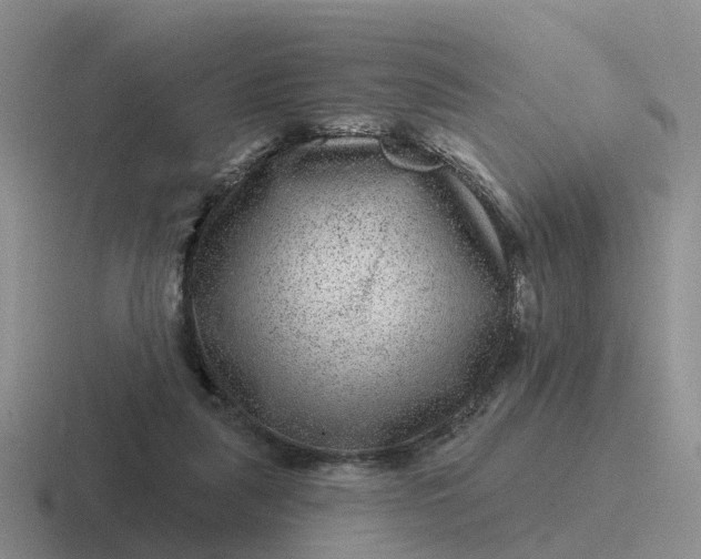 X0000116870259201001051450