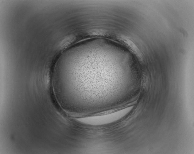 X0000116870261201001051450