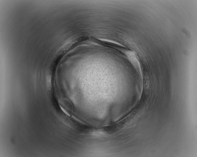 X0000116870262201001051450