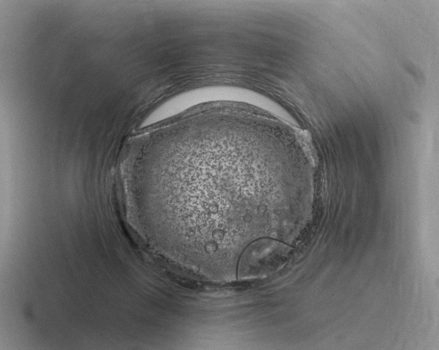 X0000116870263201001051450