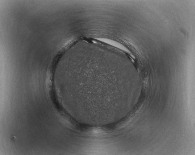 X0000116870264201001051450