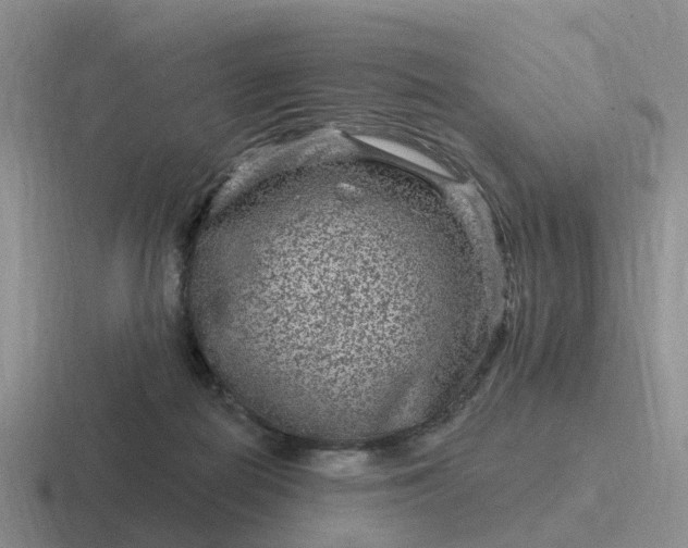 X0000116870266201001051450