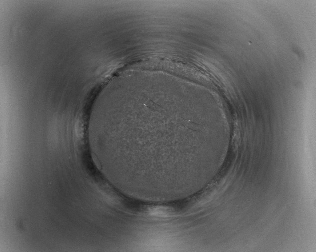 X0000116870268201001051450