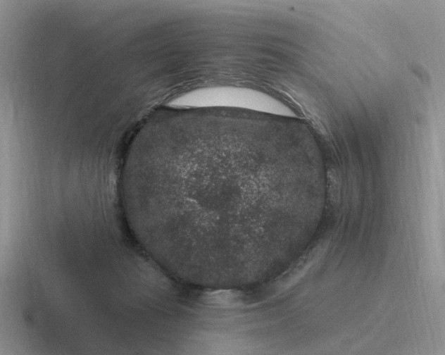 X0000116870269201001051450