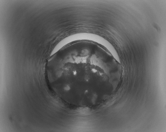 X0000116870271201001051450