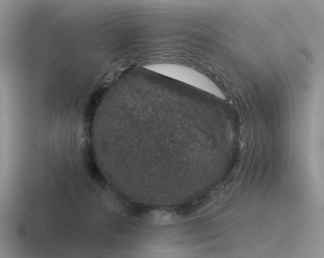 X0000116870272201001051450